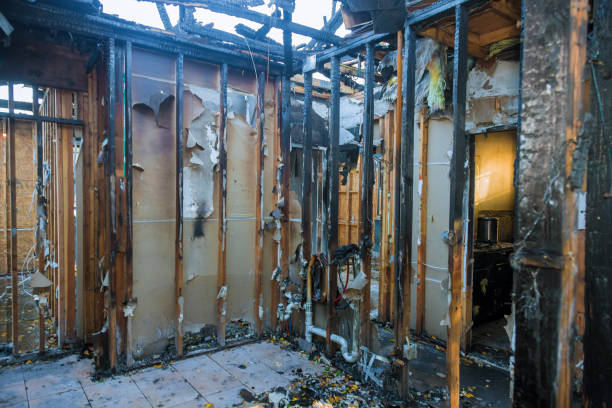 Professional Smoke Damage Removal technician working in Lehigh Acres, FL